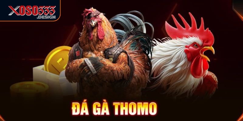 Người chơi có quyền nhiều loại cược khác nhau