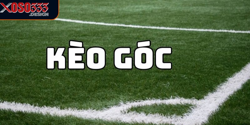 Kèo góc nhà cái xoso333 cung cấp các tỷ lệ cược hấp dẫn 